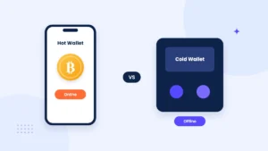 Illustration comparing a hot wallet, shown as a smartphone with a flame icon and Wi-Fi signal, with a cold wallet, shown as a hardware device with a snowflake icon inside a secure vault